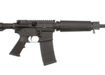 Banning assault-style rifles – information to guide the debate