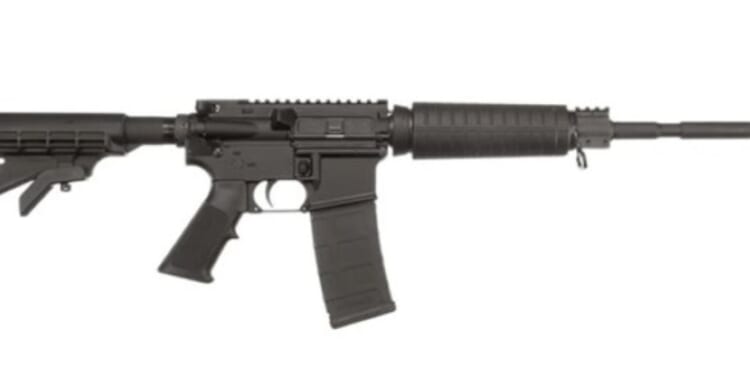 Banning assault-style rifles – information to guide the debate