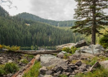 Idaho antimony project gets approval