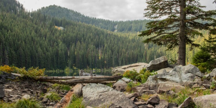 Idaho antimony project gets approval