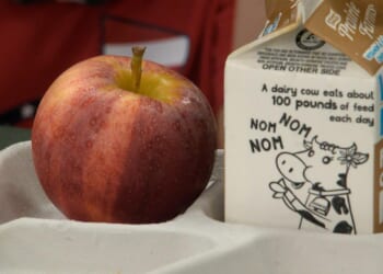 Trading universal free school meals for armed officers – it’s worth a look