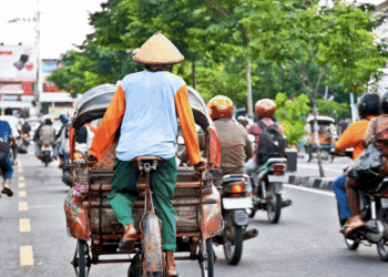 National Gun Law of Republic of Indonesia