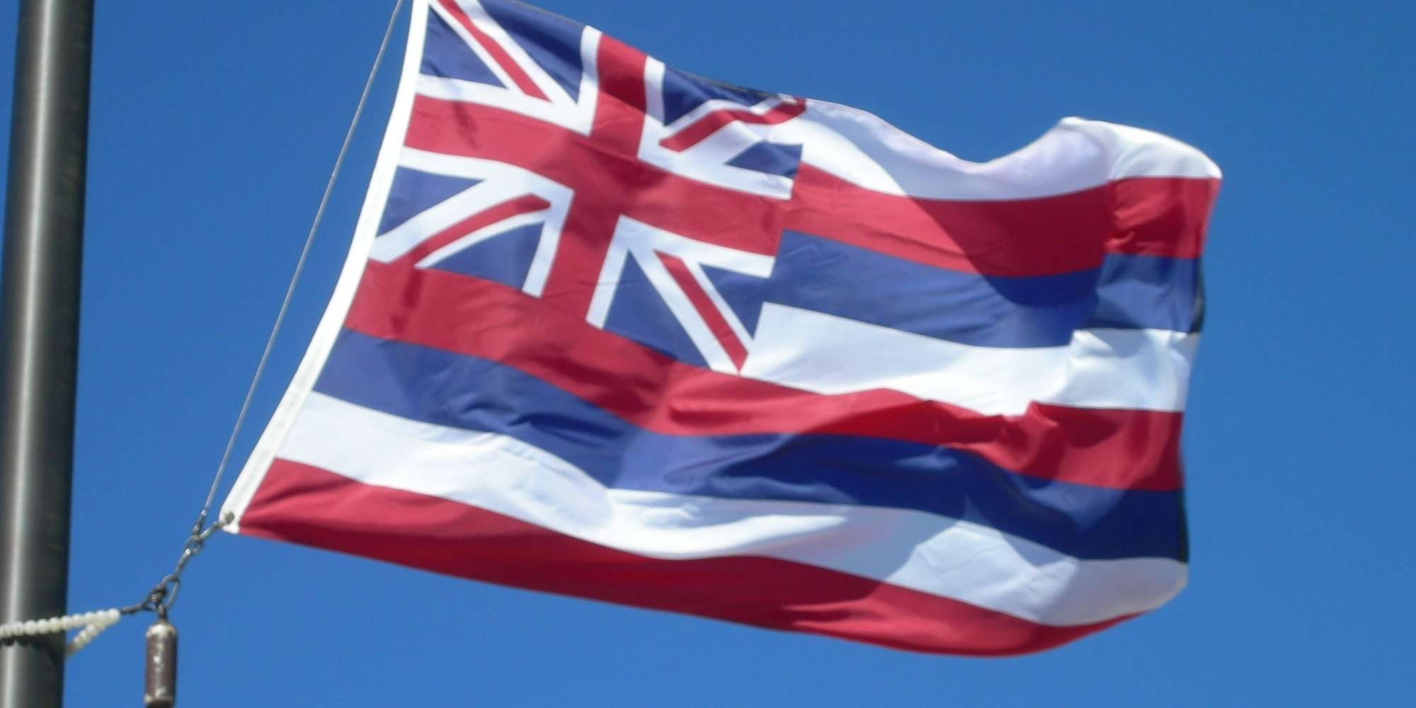 Grassroot testimonies through late October 2025