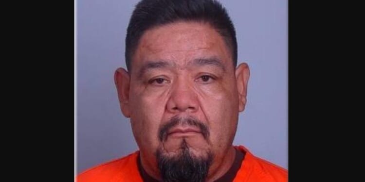 Minnesota Dad cops a plea