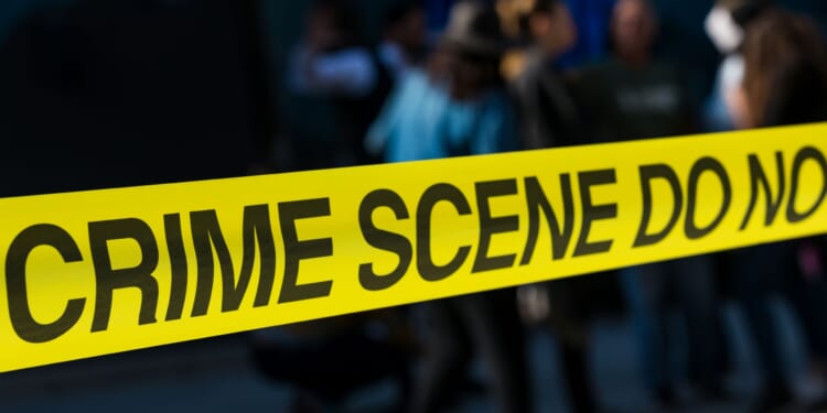 Minnesota’s 2024 Violent Crime Data – a focused brief