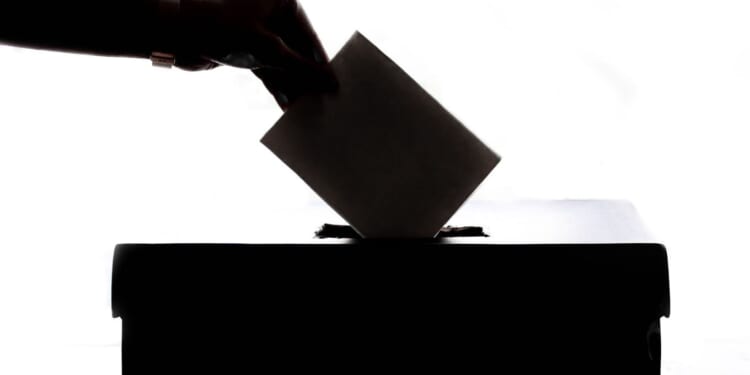 Voter fraud hearing