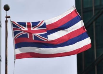 Grassroot testimonies submitted in November 2025