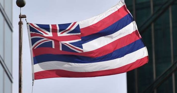 Grassroot testimonies submitted in November 2025