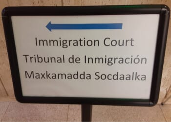 Panic over Somali TPS ending