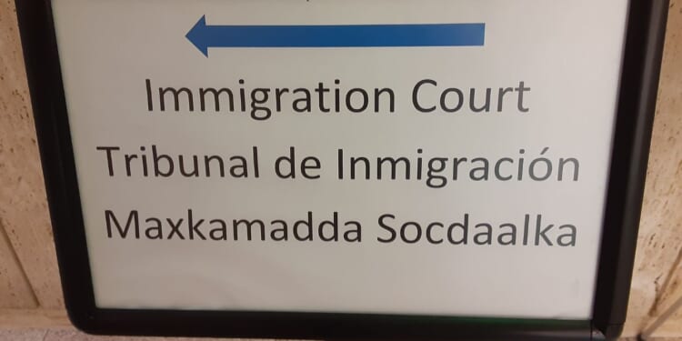 Panic over Somali TPS ending