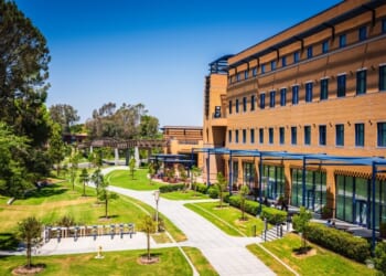 We’re Destroying Meritocracy