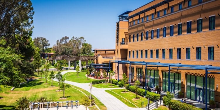 We’re Destroying Meritocracy