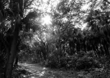 Florida's Rural Renaissance - James Madison Institute