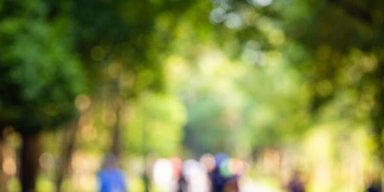 A Free-Market Guide for Missouri Municipalities Part Four: Parks and Recreation