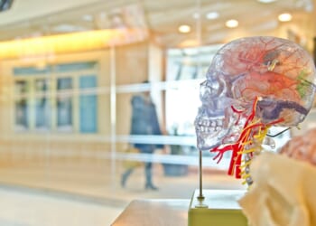 Breaking down the public comment period for K-12 health standards 