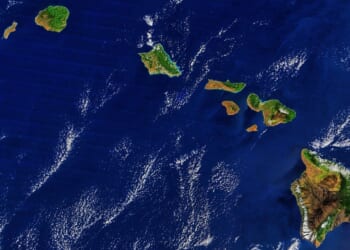 Grassroot improved Hawaii’s economic foundation during 2025