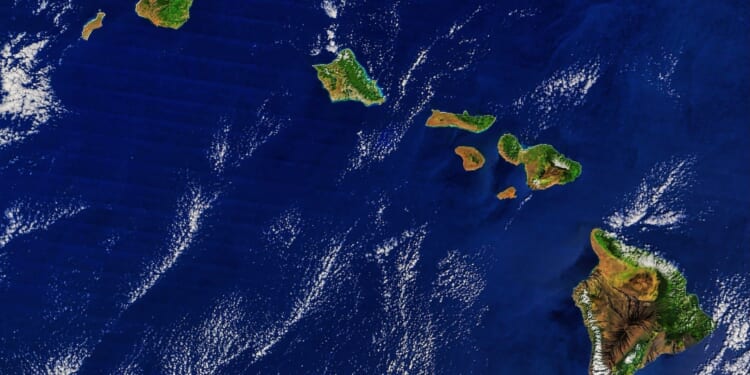 Grassroot improved Hawaii’s economic foundation during 2025