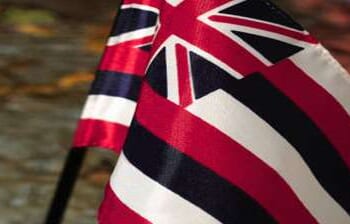 Grassroot testimonies submitted in mid-December 2025