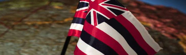 Grassroot testimonies submitted in mid-December 2025