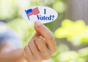 Should We Be Concerned About Idaho Elections? 