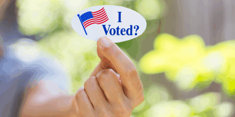 Should We Be Concerned About Idaho Elections? 