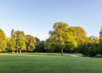 The Free-Market Municipality Project Part Four: Parks and Recreation