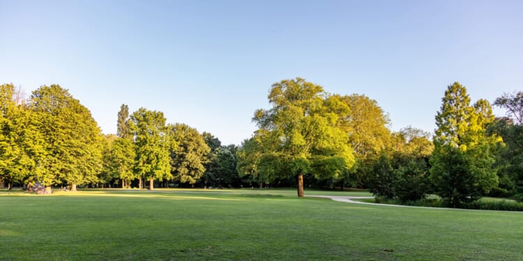 The Free-Market Municipality Project Part Four: Parks and Recreation