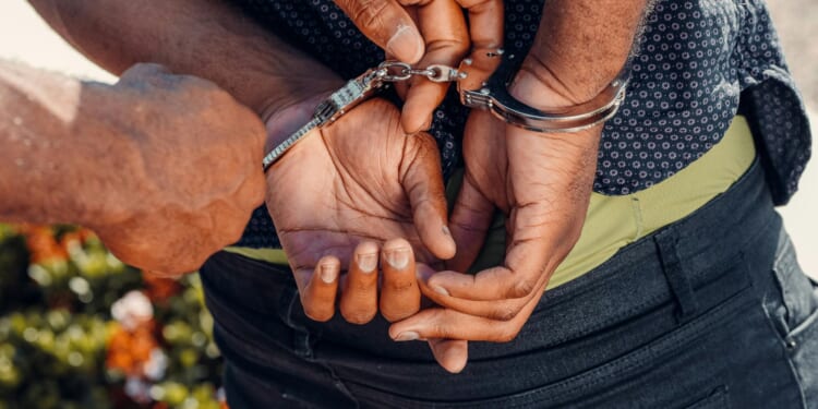 U.S. immigration enforcement data– cutting through the noise