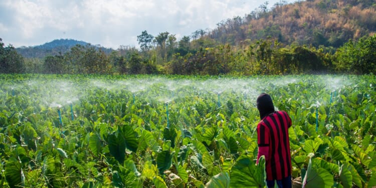 How to achieve a policy trifecta