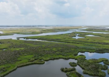 Pelican Institute Issues Statement in Response to Oral Arguments in Chevron v. Plaquemines