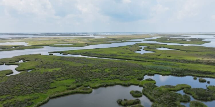 Pelican Institute Issues Statement in Response to Oral Arguments in Chevron v. Plaquemines