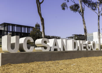 The Cost of Prioritizing Identity Politics Over The Basics