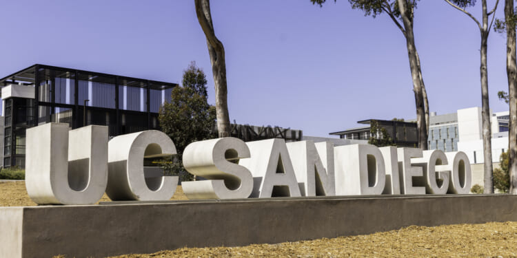 The Cost of Prioritizing Identity Politics Over The Basics