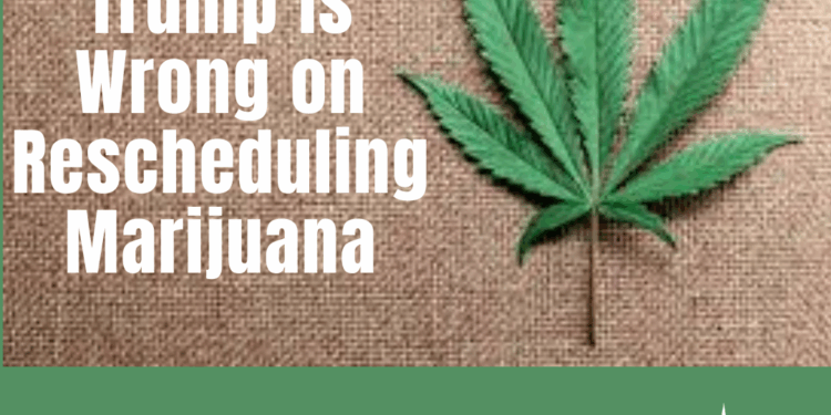 Trump Wrong on Rescheduling Marijuana