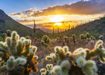 A Piece of Heaven: Arizona Turns 114