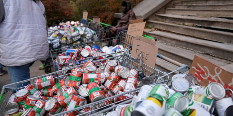 Illinois at risk of losing $700M in SNAP funding from high error rate