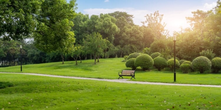 St. Louis County to Raise Park Fees—That’s Good