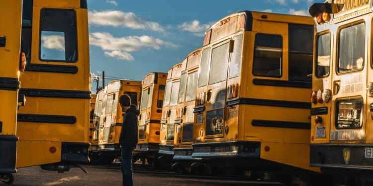 Minnesota open enrollment participation among nation’s highest