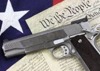 2025 Annual report on Minnesota permit to carry holders released