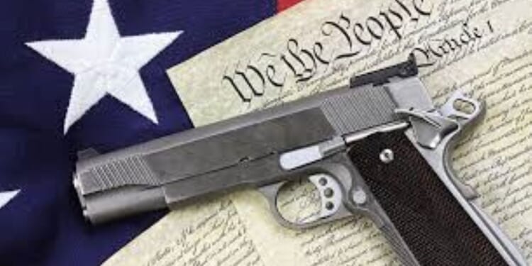 2025 Annual report on Minnesota permit to carry holders released