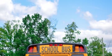 Minnesota open enrollment participation among nation’s highest