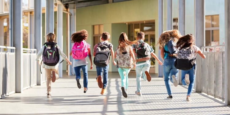 Separating FACT from FICTION on LA GATOR – Pelican Policy