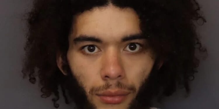 The cases of Avion Hamer, and a court system unwilling to take responsibility