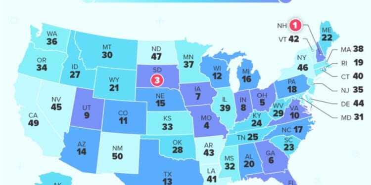 Study finds that Minnesotans get a worse return on their taxes than in 36 other states