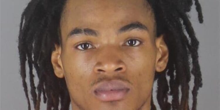 Edina’s “transitional affordable housing” murder – another product of our revolving door of justice