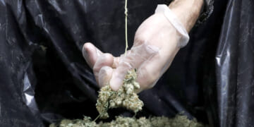 How Illinois spends marijuana money