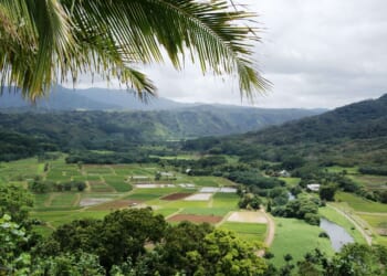 Property tax changes would help Kauai farmers and ranchers