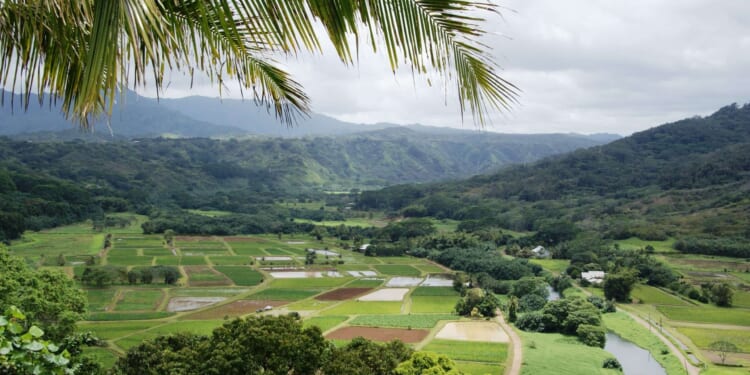 Property tax changes would help Kauai farmers and ranchers