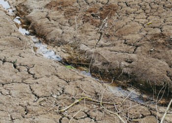 markus spiske Drought