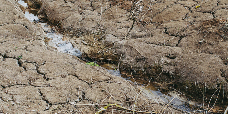markus spiske Drought